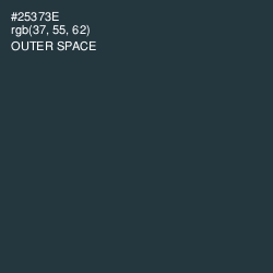 #25373E - Outer Space Color Image